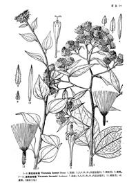 �ƻ�����